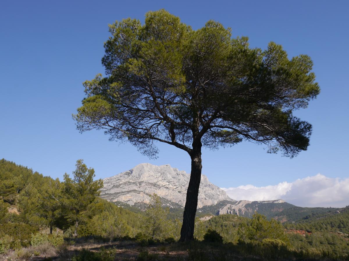 Villa Victoria Gréasque Dış mekan fotoğraf